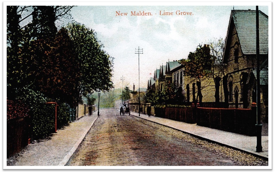 Photograph postcard of Lime Grove showing Christ Church School on the right