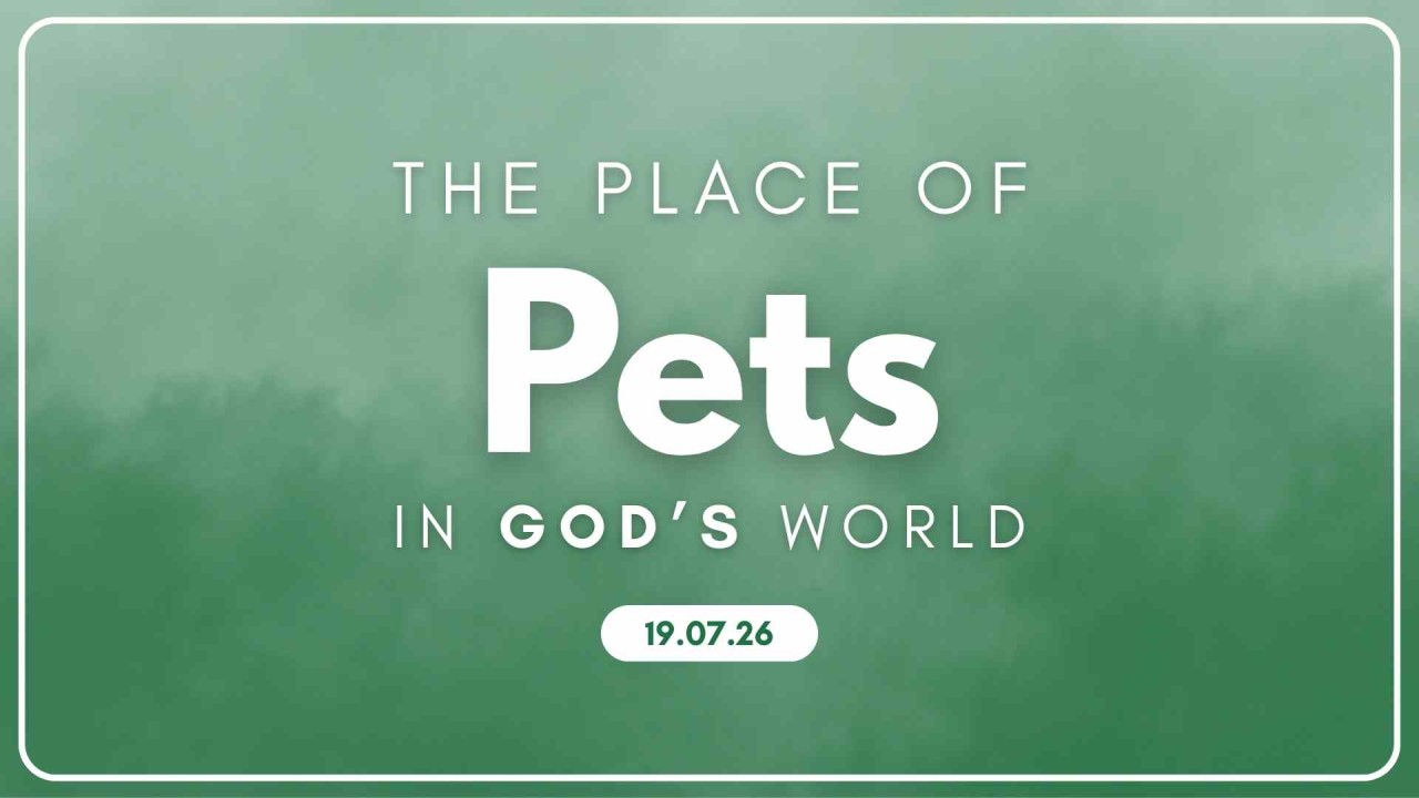 The Place of Pets in God's World