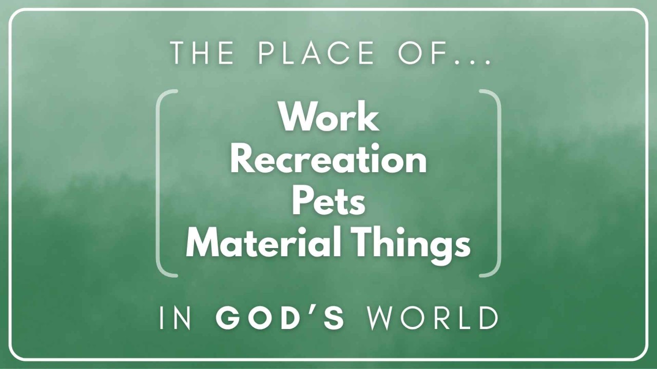 The Place of Work, Recreation, Pets and Material Things in God's World